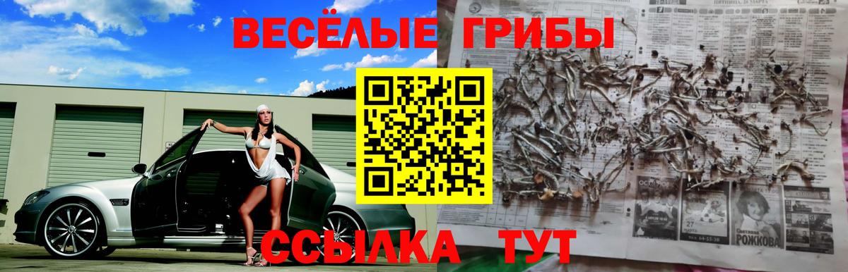 Сочи  Псилоцибиновые грибы GOLDEN TEACHER  Вход с VPN 
