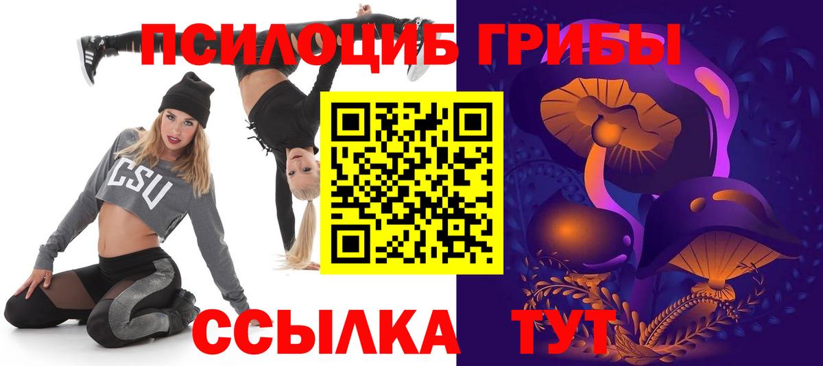 Псилоцибиновые грибы мицелий Сочи